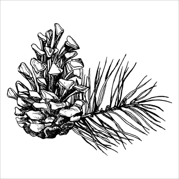 美しい手描きのコーンイラスト森の要素 — ストックベクタ