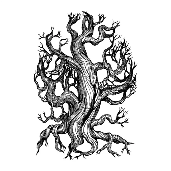 Bela Mão Desenhada Árvore Ilustração Pinheiro —  Vetores de Stock