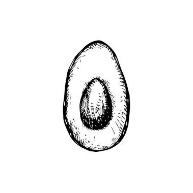 güzel avokado meyve çizimi, meyve çizimi tasarımı