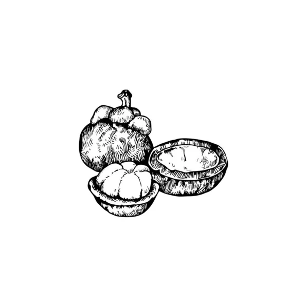 Όμορφη Απεικόνιση Τροπικών Φρούτων Σχέδιο Σχεδίου Φρούτων — Διανυσματικό Αρχείο