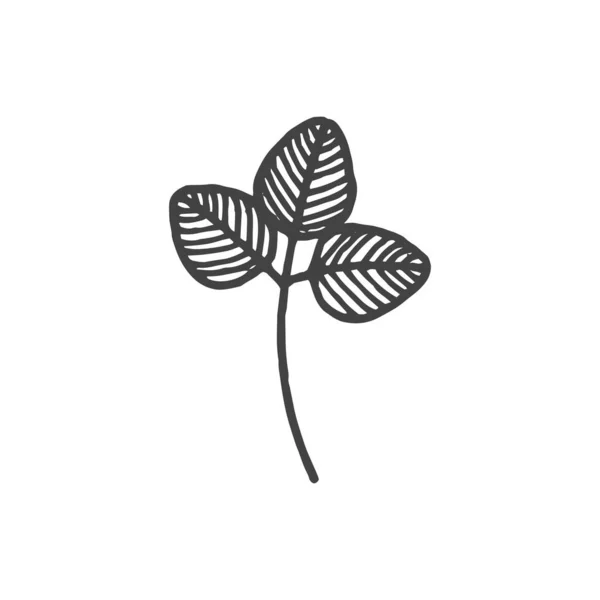 Hojas Elemento Logo Rama Dibujo Ramita Elemento Logo Clipart Naturaleza — Vector de stock