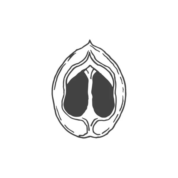 Noyer Élément Logo Minimal Dessin Noyer Écrou Élément Logo Clipart — Image vectorielle
