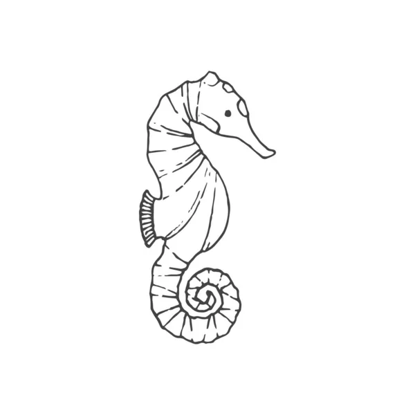 Ελάχιστη Απεικόνιση Ιππόκαμπου Στοιχείο Θαλάσσιου Λογότυπου Κλιπ Φύση Περίγραμμα Τατουάζ — Διανυσματικό Αρχείο