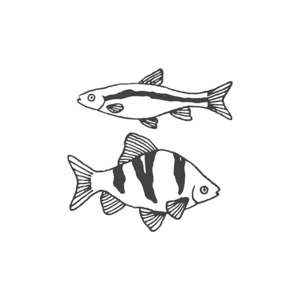 Rybí Minimální Logo Element Rybí Kresba Logo Element Kliparty Příroda — Stockový vektor