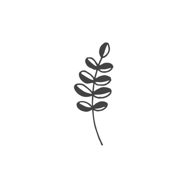 Гілочки Мінімальний Елемент Логотипу Ботанічний Елемент Елемент Логотипу Кліпарт Природа — стоковий вектор