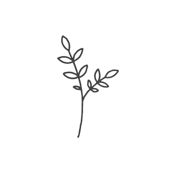 Branch Design Logotipo Mínimo Ilustração Galho Elemento Logotipo Clipart Natureza — Vetor de Stock