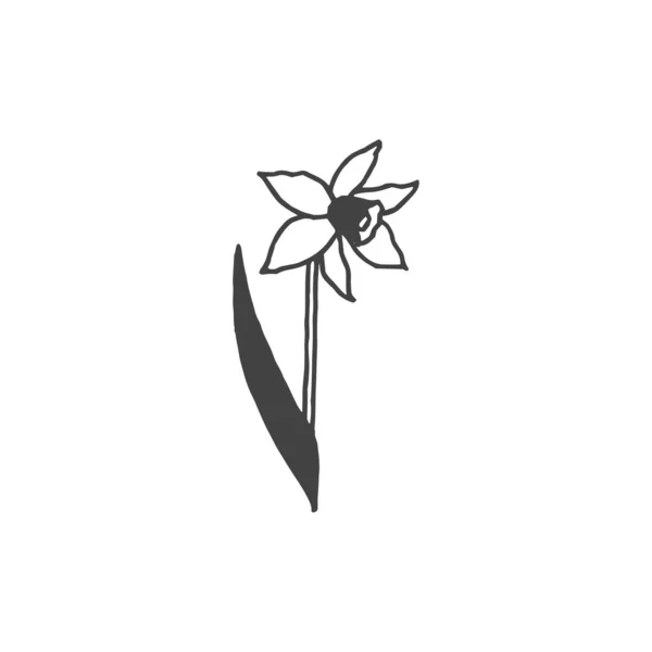 Blume Minimales Logo Element Blumenzeichnung Logo Element Cliparts Natur Umriss — Stockvektor