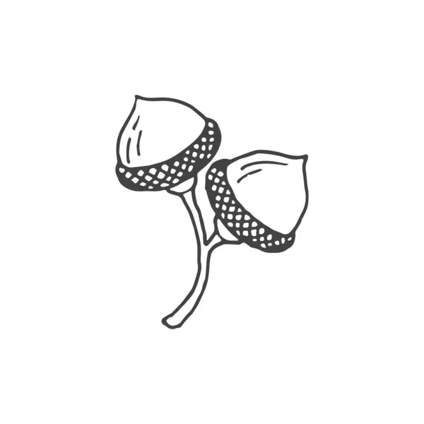 Minimalny Element Logo Żołędzia Rysunek Żołędzia Element Logo Kliparty Natura — Wektor stockowy