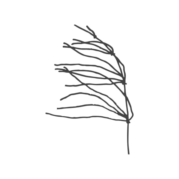 Větvičky Minimální Logo Element Botanický Prvek Logo Element Kliparty Příroda — Stockový vektor