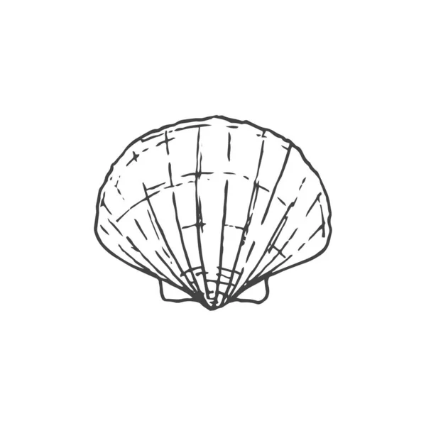 シェル最小限のロゴデザイン 貝殻の図面 ロゴ要素 クリップ アウトライン タトゥー 手書き ベクトル要素 — ストックベクタ