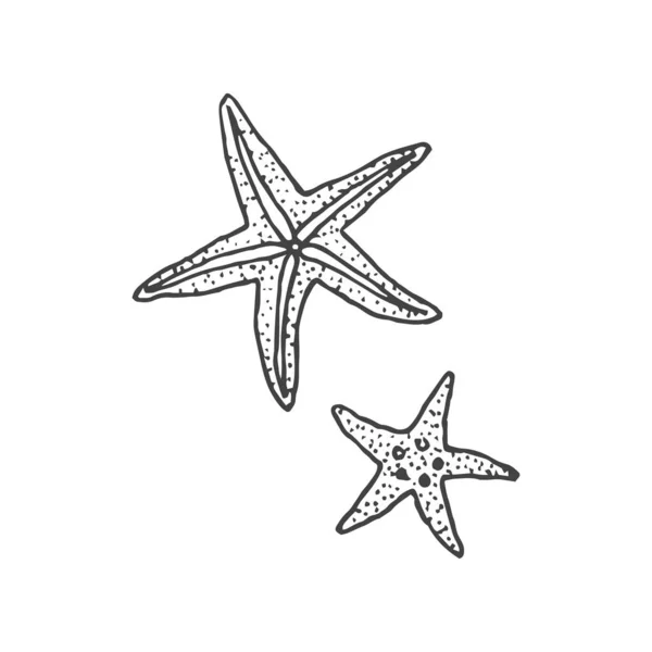 Starfish Minimal Logo Element Sea Star Drawing Logo Element Clipart — Vector de stock
