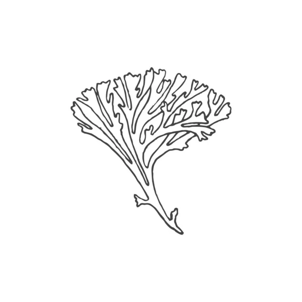 サンゴの最小ロゴ要素 サンゴの描画 ロゴ要素 クリップ アウトライン 入れ墨 手書き ベクトル要素 — ストックベクタ