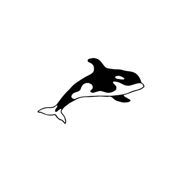 Shark Minimal Logo Element Sark Drawing Logo Element Clipart Nature — Archivo Imágenes Vectoriales