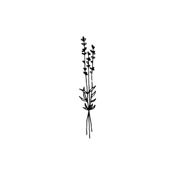 Brindilles Élément Logo Minimal Élément Botanique Élément Logo Clipart Nature — Image vectorielle