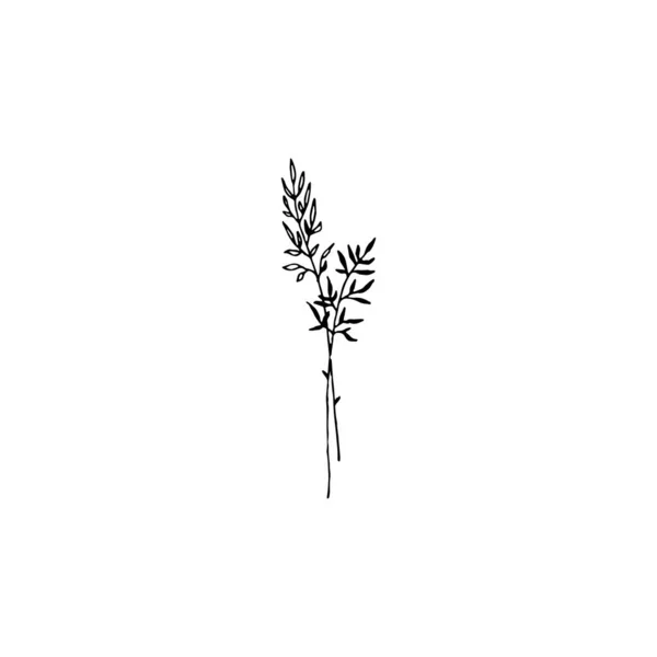 Twigs Minimal Logo Element Botanical Element Logo Element Clipart Nature — Archivo Imágenes Vectoriales
