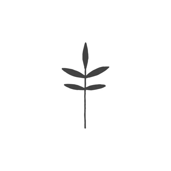 Kvistar Minimal Logotyp Element Botaniska Element Logotyp Element Clipart Natur — Stock vektor