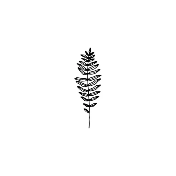 Galhos Elemento Logotipo Mínimo Elemento Botânico Elemento Logo Clipart Natureza — Vetor de Stock