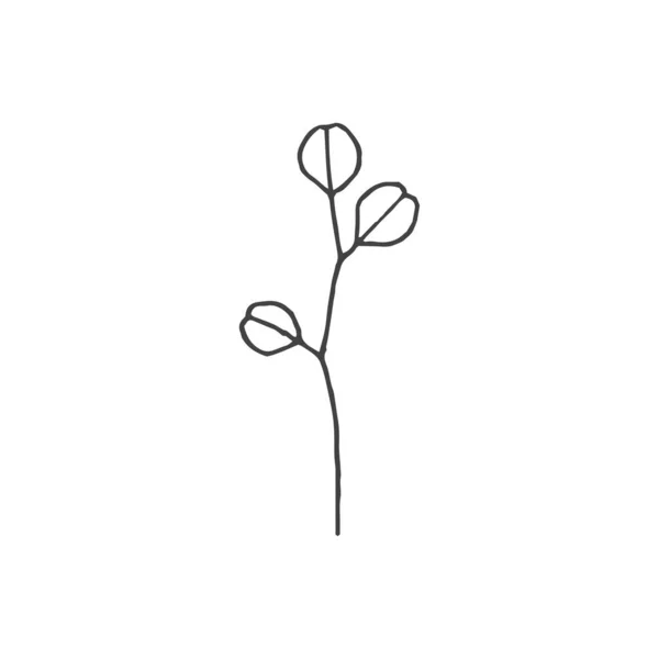 Twigs Minimális Logó Elem Botanikai Elem Logó Elem Előfizetői Természet — Stock Vector
