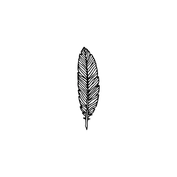 Logo Élément Clipart Nature Contour Tatouage Dessin Main Dessin Élément — Image vectorielle