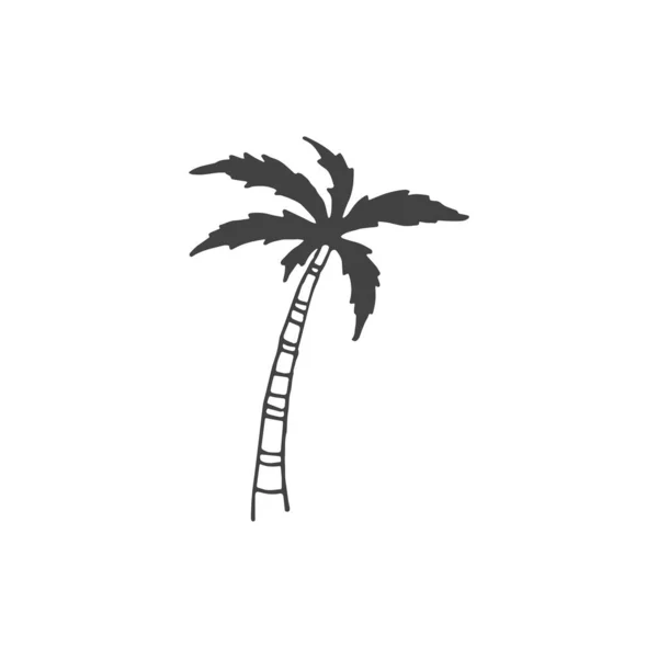 Elemento Logotipo Palmeira Desenho Palmeira Elemento Logotipo Clipart Natureza Contorno — Vetor de Stock