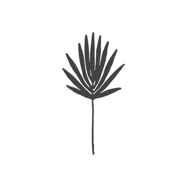 Zweige Minimales Logo Element Botanisches Element Logo Element Cliparts Natur — Stockvektor