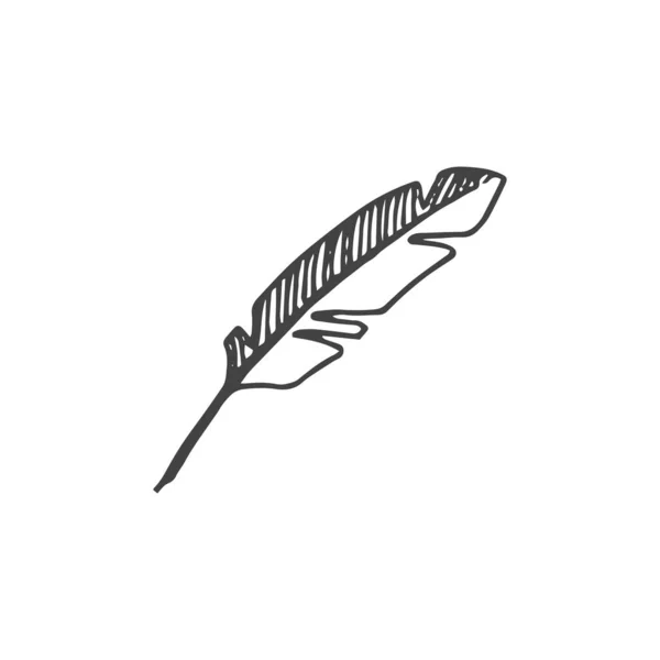羽毛标识元素 羽毛绘图 标志元素 分水岭 矢量元素 — 图库矢量图片
