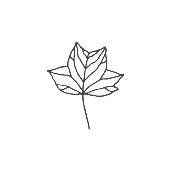 Gałązki Minimalny Element Logo Element Botaniczny Element Logo Clipart Natura — Wektor stockowy