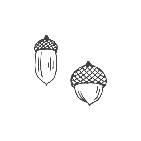 アコーン最小ロゴ要素 アコーン図面 ロゴ要素 クリップパート アウトライン タトゥー 手書き ベクトル要素 — ストックベクタ