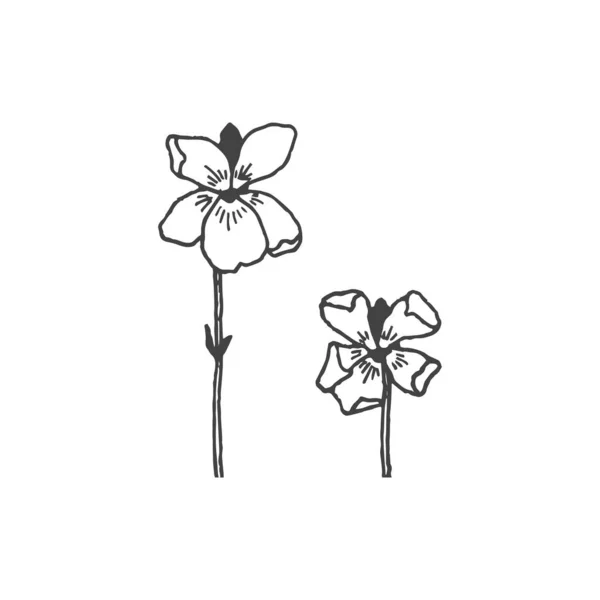Twigs Minimaal Logo Element Botanisch Element Logo Element Clipart Natuur — Stockvector