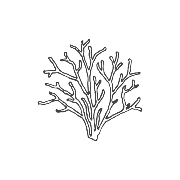 Koralle Minimales Element Korallenzeichnung Logo Element Cliparts Natur Umriss Tätowierung — Stockvektor