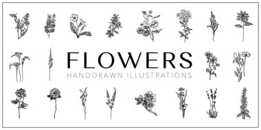 Çiçek çizimleri seti, çiçek koleksiyonu, botanik, çiçek, dövme tasarımı, çizim, vektör