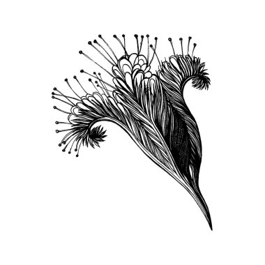 El yapımı botatik öğe, çiçek çizimi, dal, yaprak, dal, dövme, doğal, doğa çizimi