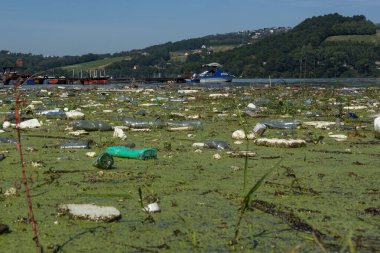 dirty lake in Poland