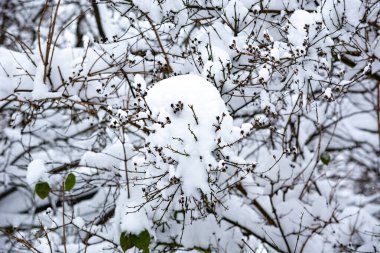 Winter park yoğun kar yağışı sonra