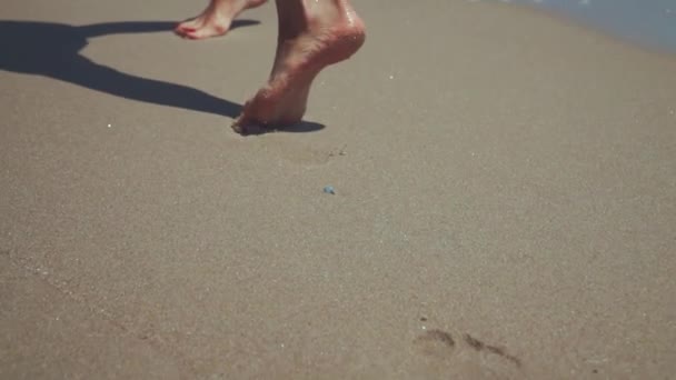 Legs Young Woman Going Beach Girl Stepping Wet Sand Shoreline — Stock Video