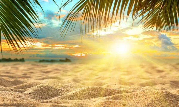 Blur Hermosa Naturaleza Hoja Palma Verde Playa Tropical Con Bokeh —  Fotos de Stock