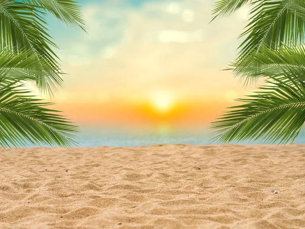在热带海滩上 淡淡的阳光背景模糊了美丽的自然绿色棕榈叶 复制暑假空间和商务旅行的概念 复古色调过滤效果色彩风格 — 图库照片#