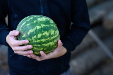 Bir adam elinde bir karpuz tutuyor. yüksek kaliteli fotoğraf