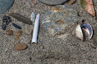 Tek kullanımlık plastikler çevremizde büyük sorunlara neden olur. Plastik pipetler de bunlardan biri..