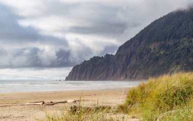 Oregon sahilinde dramatik bir uçurum. Pasifik Okyanusu 'ndan gelen bulutlar..