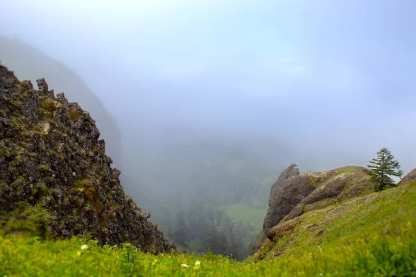 Dimmig Dal Mitt Kustens Bergskedja Oregon Nära Saddle Mountain — Stockfoto