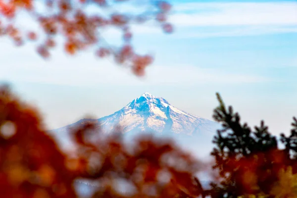 Snötäckt Mount Hood Sett Utifrån Pittock Mansion Strax Väster Portland — Stockfoto