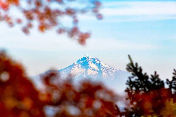 Ośnieżony Mount Hood Jak Widziany Pittock Mansion Zachód Śródmieścia Portland — Zdjęcie stockowe