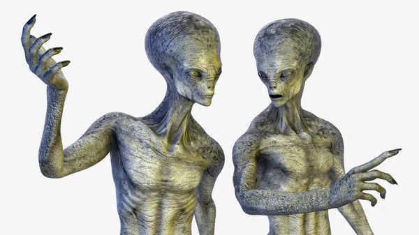 Dwóch Humanoidalnych Kosmitów Rozmawiających Między Sobą Bardzo Szczegółowej Fakturze Skóry — Zdjęcie stockowe