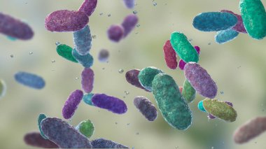 Bakteri Aggregatibacter, 3 boyutlu resimleme. Aggregatibacter afrofilus ve A. Actinomycetcomitans, Gram negatif bakteriler, ağız ve boğazın normal florasının bir parçası, ayrıca endokardite neden olur.