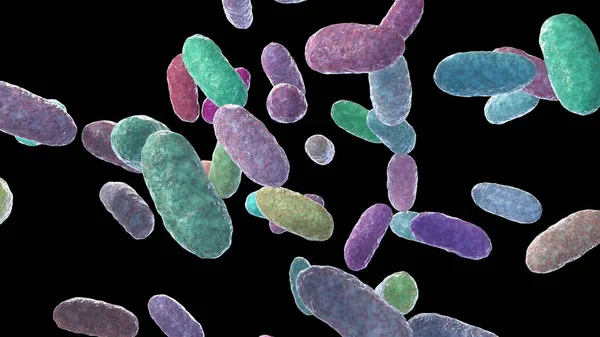 박테리아 Aggregatibacter Aggregatibacter Aphrophilus Actinomycetemcomcians Gram Negative Bacteria — 스톡 사진
