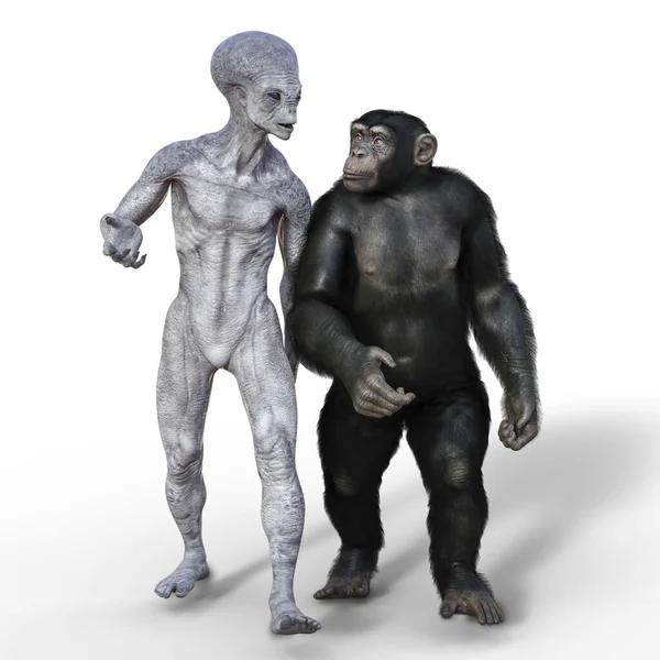 휴머노이드 외계인 침팬지 — 스톡 사진