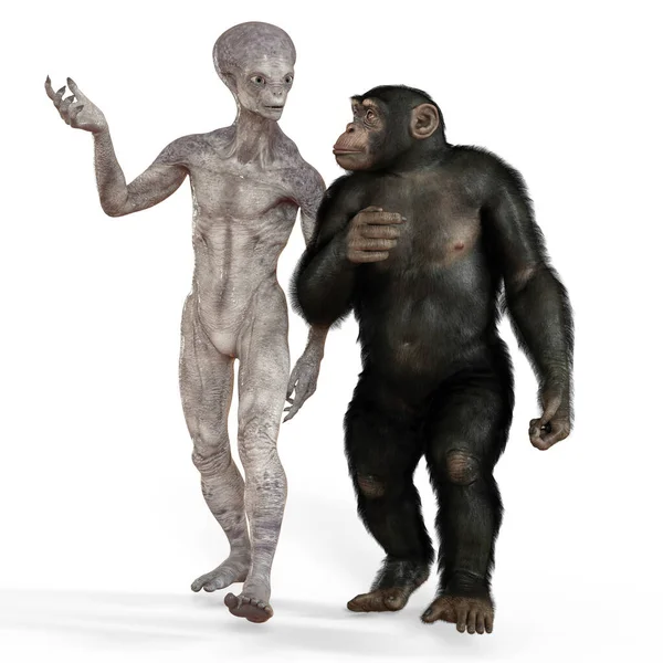 Humanoider Alien Und Schimpansenaffe Illustration — Stockfoto