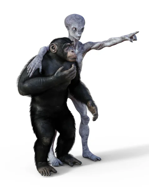 人形外星人和黑猩猩猴 3D插图 — 图库照片