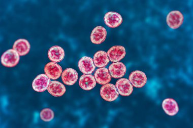 Bakterilere karşı metisiline dayanıklı Staphylococcus aureus MRSA, ilaca dirençli bakteri, 3D illüstrasyon